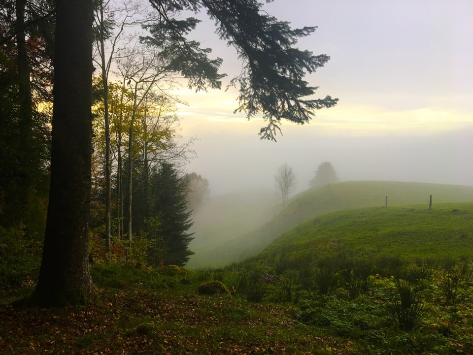 Landschaft an der Nebelgrenze.