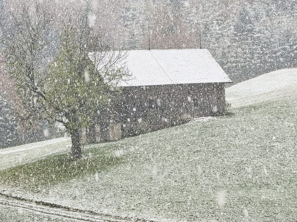 Starker Schnefall heute Morgen in Waldstatt.