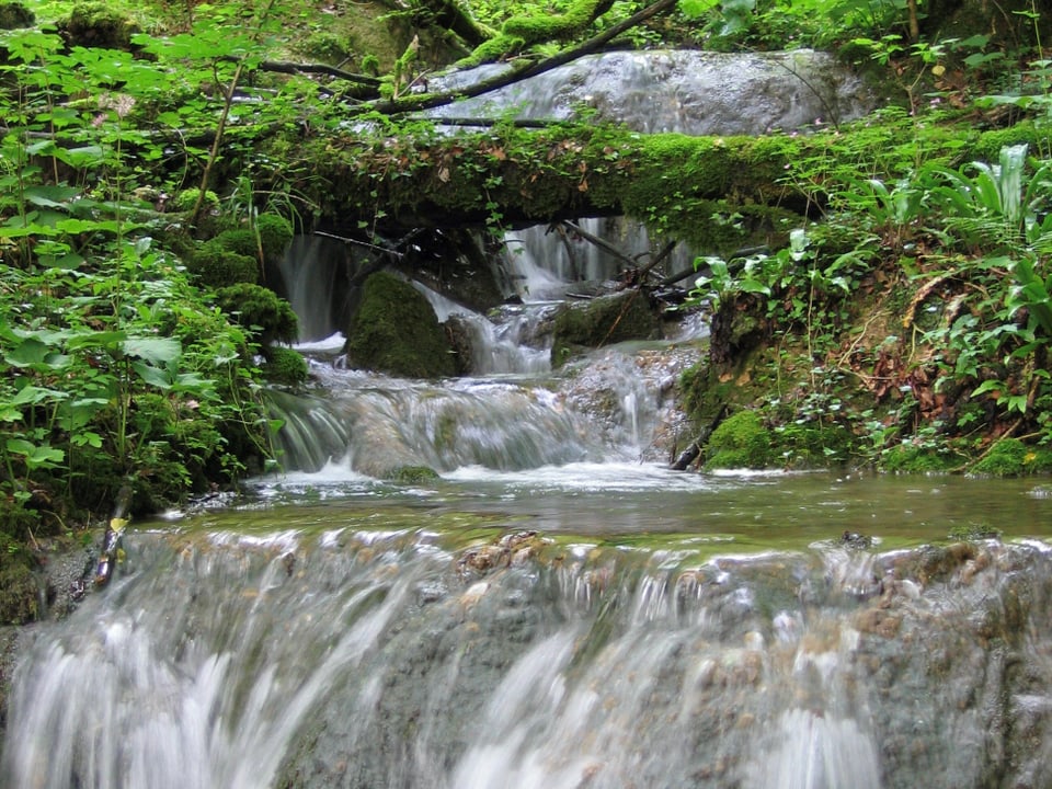 Auf dem Bild ist eine Quelle des Naturpark Doubs zu sehen.