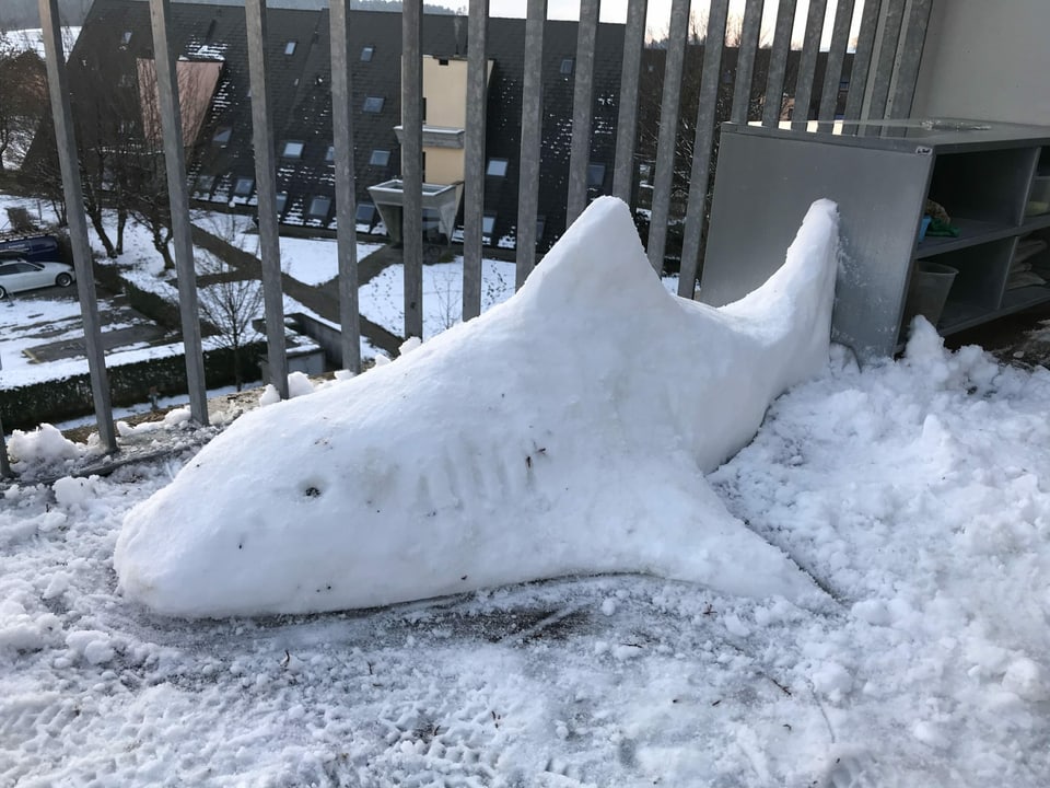 Hai aus Schnee