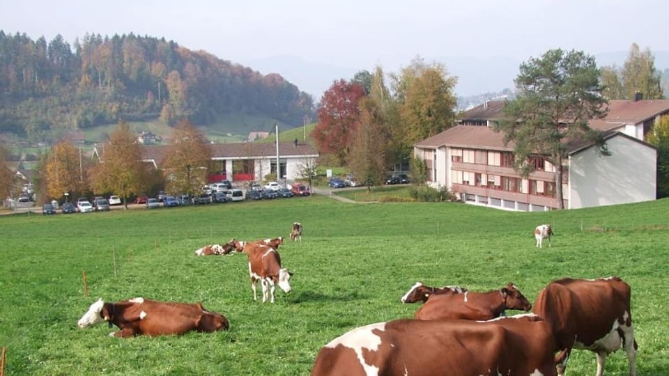 Der Bauernverband Aargau befürchtet wegen Asylbewerbern einen Imageschaden für die landwirtschaftliche Schule Liebegg.