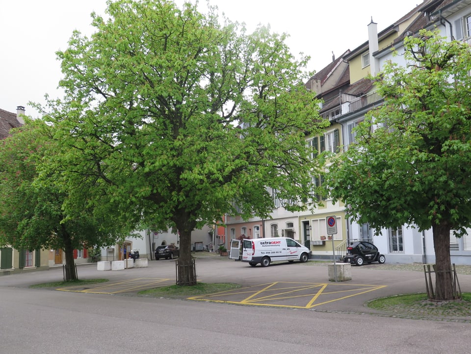 Ein Platz, darauf drei Bäume mit grünen Blättern.