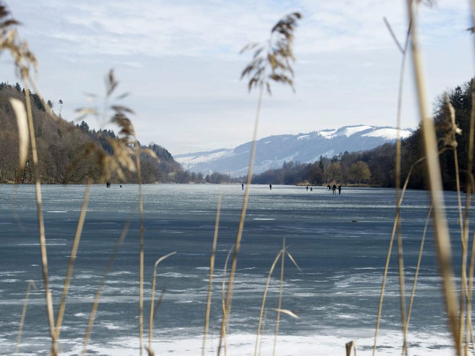 Der Rotsee in Luzern ist am 17. Februar 2012 immer noch mit Eis bedeckt. (keystone)