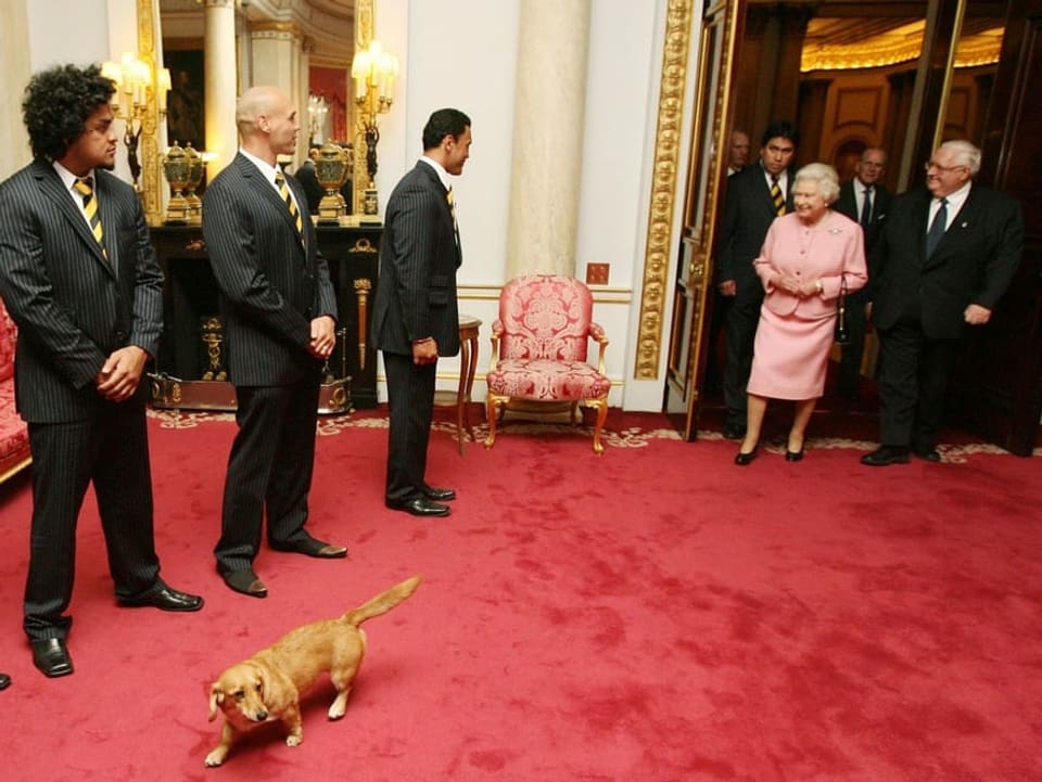 Die Queen kommt in einen Raum mit Männern. Vor ihr her geht ein Corgi-Hund.
