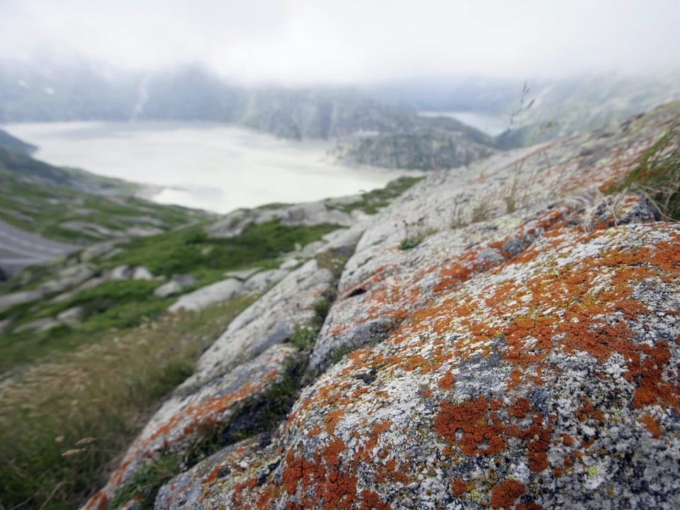 Grimsel-See