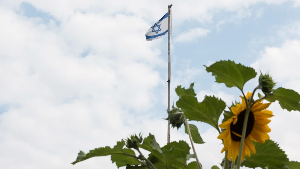 Eine israelische Fahne im Wind, im Vordergrund eine Sonnenblume.