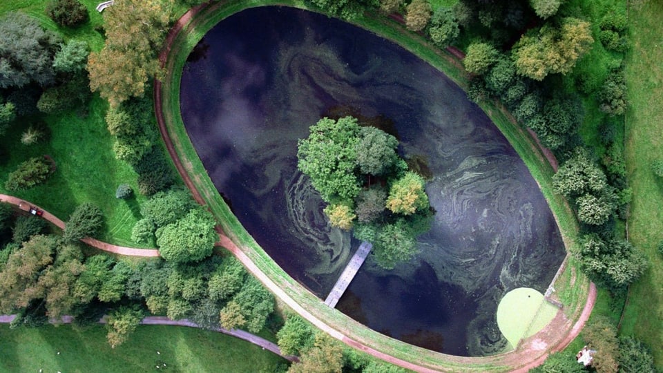 Luftaufnahme eines Tümpels mit einer Insel.