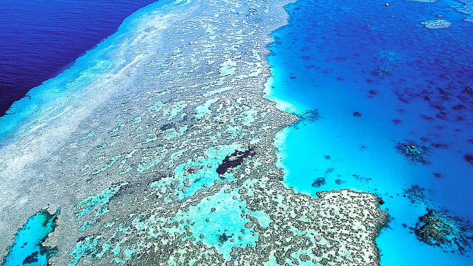 Flugaufnahme eines leuchtend blauen Korallenriffs im Great Barrier.