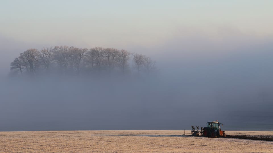 Auflösende Nebelschicht bei Ettingen (BL).