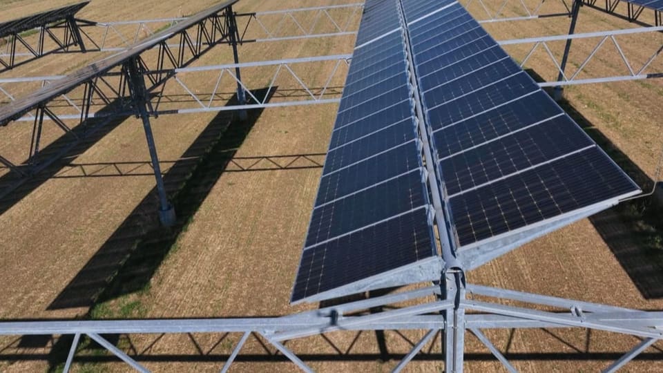 Solarzellen auf Ackerfläche