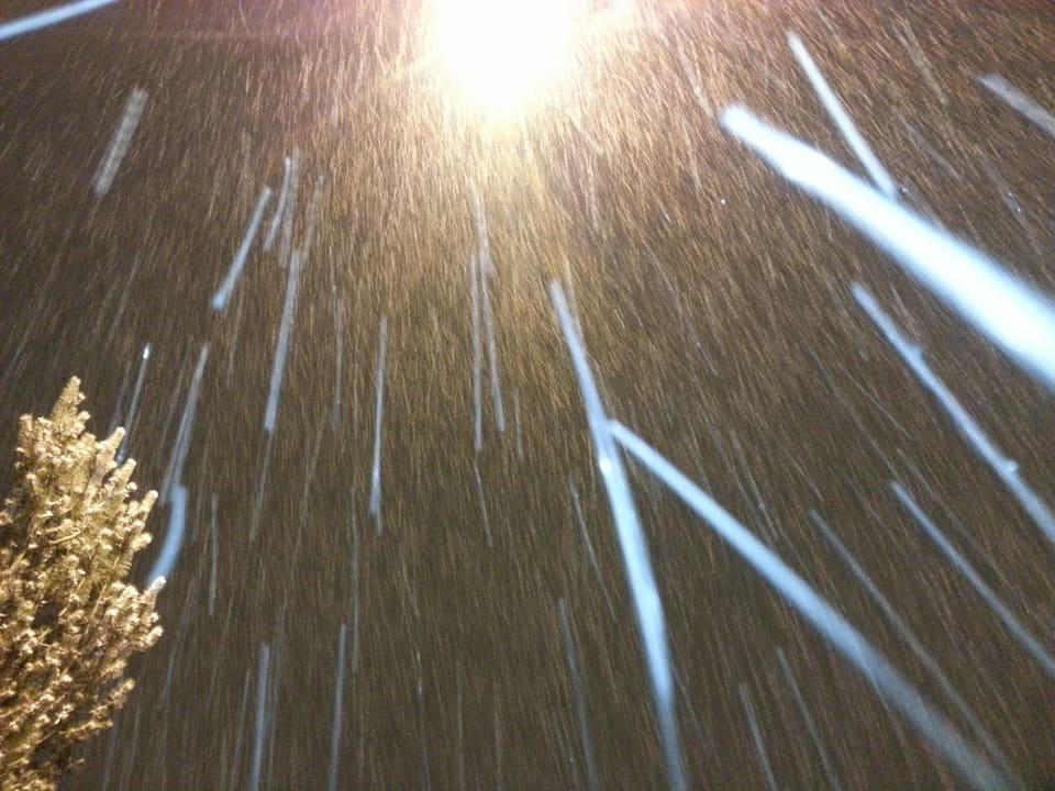 Schneeflocken leuchten im Blitzlicht der Kamera.