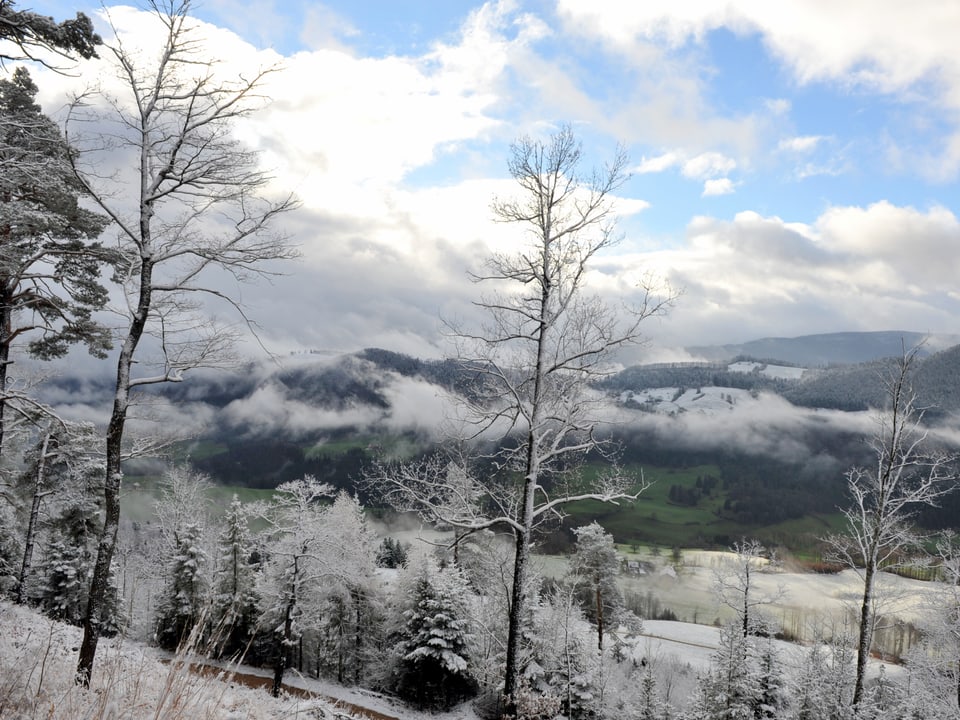 Lanschaftsbild mit Hügeln und Bäumen, wenig Schnee