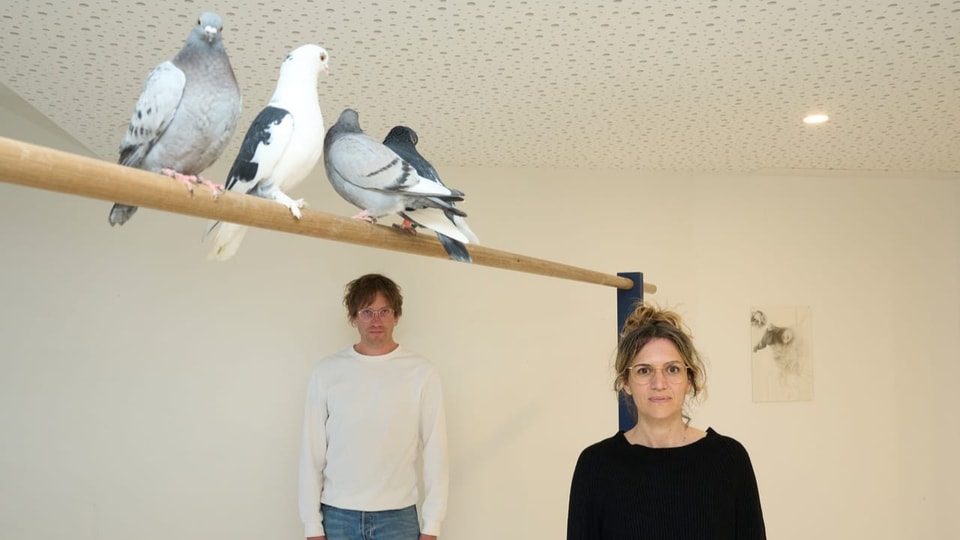 Vier Tauben sitzen auf einer Stange, links und rechts davon ein Mensch. 