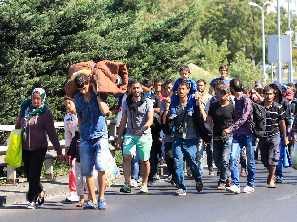 Hunderte Flüchtlinge marschieren von Budapest weg. 