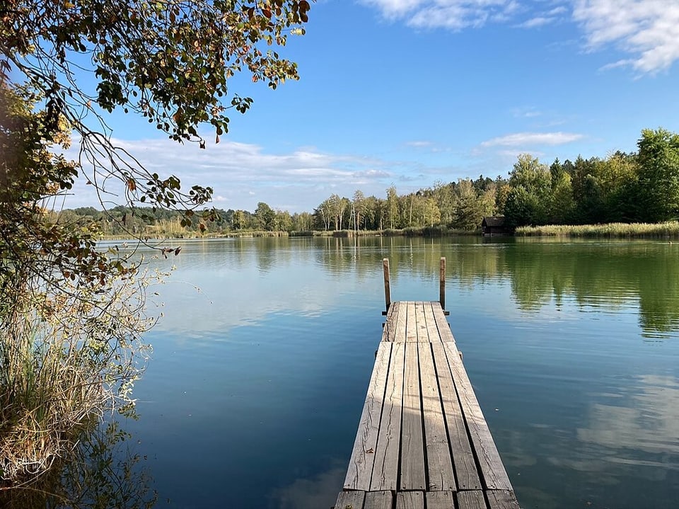 Holzsteg führt in einen ruhigen See mit umgebenden Bäumen und blauem Himmel.