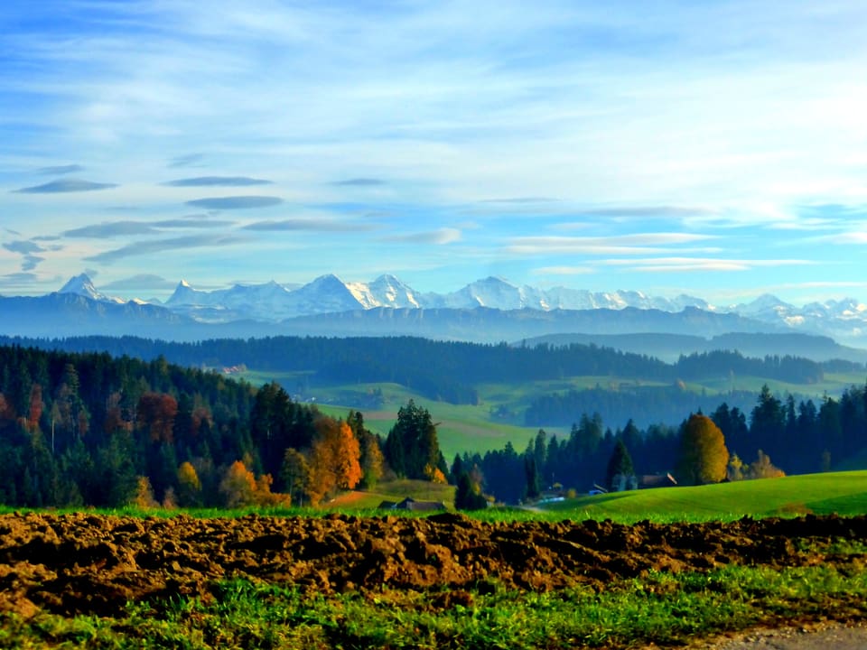 Grüne Wiesen und farbige Bäume bilden den Vordergrund des Bildes. Im Hintergrund stehen die weissverschneiten Alpen, Föhnwolken zieren den Himmel.