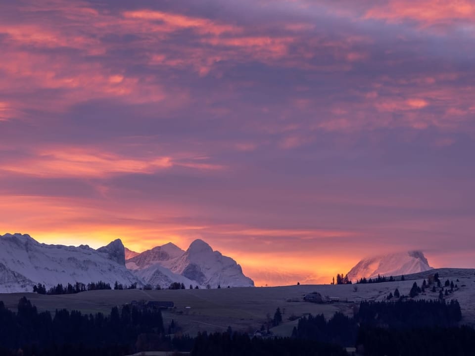 Sonnenaufgang über den Berner Alpen.