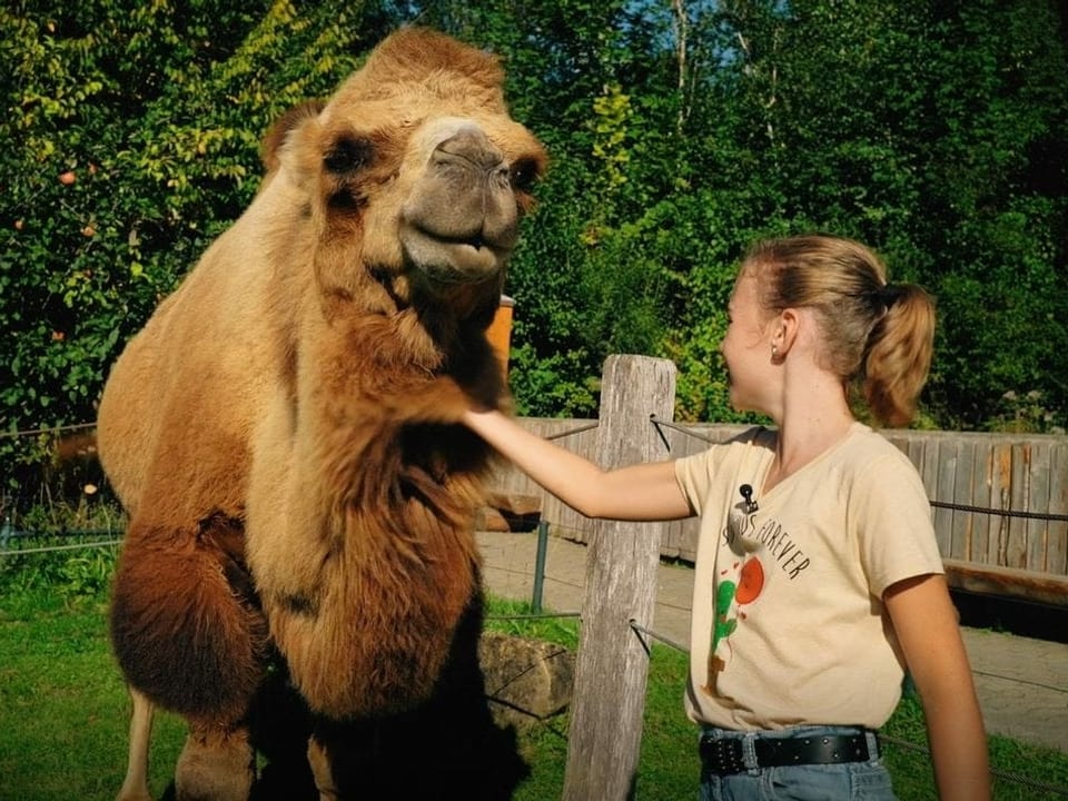 Janine streichelt ein Kamel.