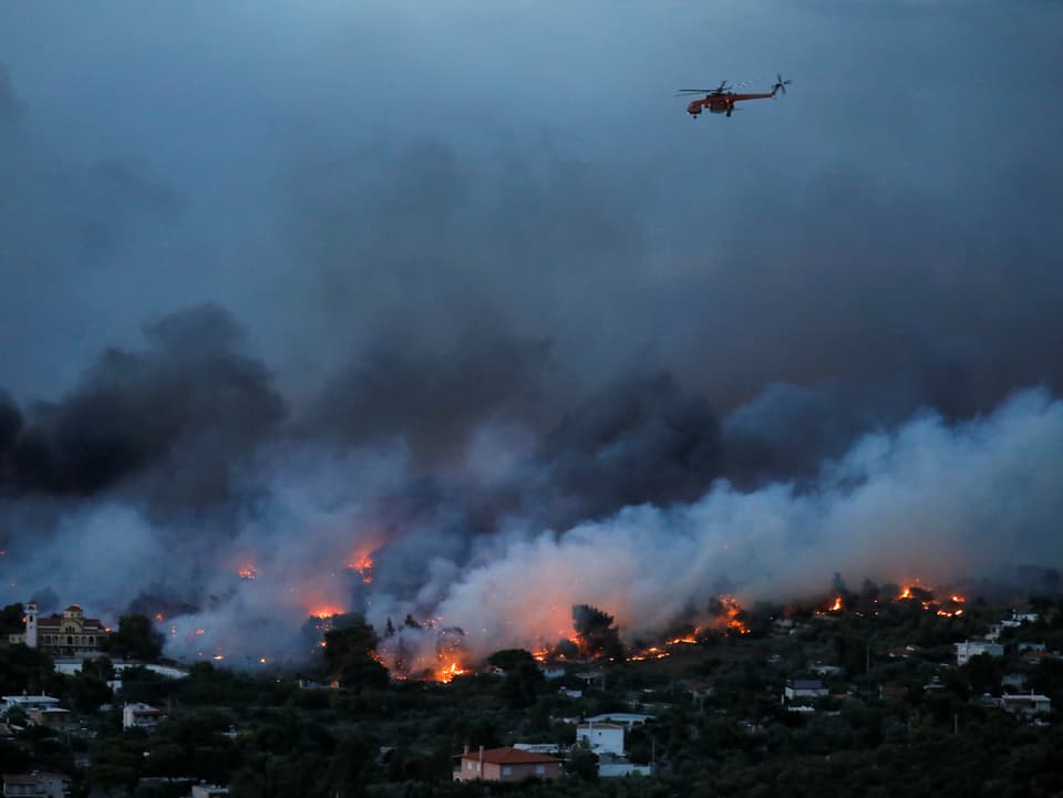 Bei extremer Trockenheit und starken Winden sind die Waldbrände nahe Athen ausser Kontrolle geraten. 