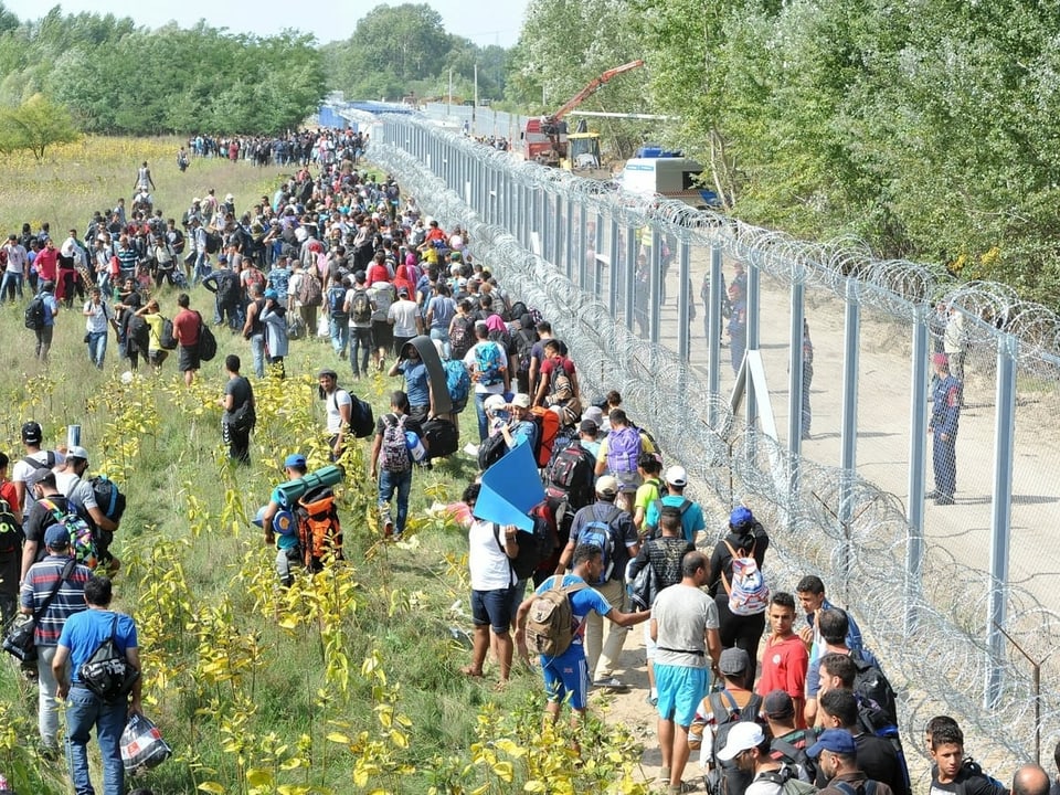 Die serbisch-ungarische Grenze im September 2015. 