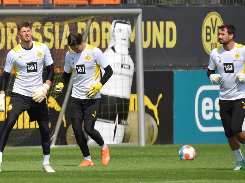 Die drei Schweizer Goalies beim BVB Die drei Schweizer Goalies beim BVB