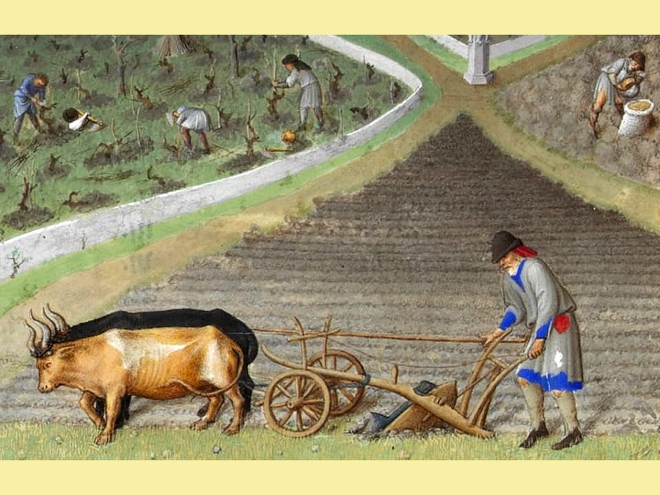 Wie Lebten Die Bauern Im Mittelalter Im Schatten der Burg - So sah das Bauernleben damals aus - Schweiz