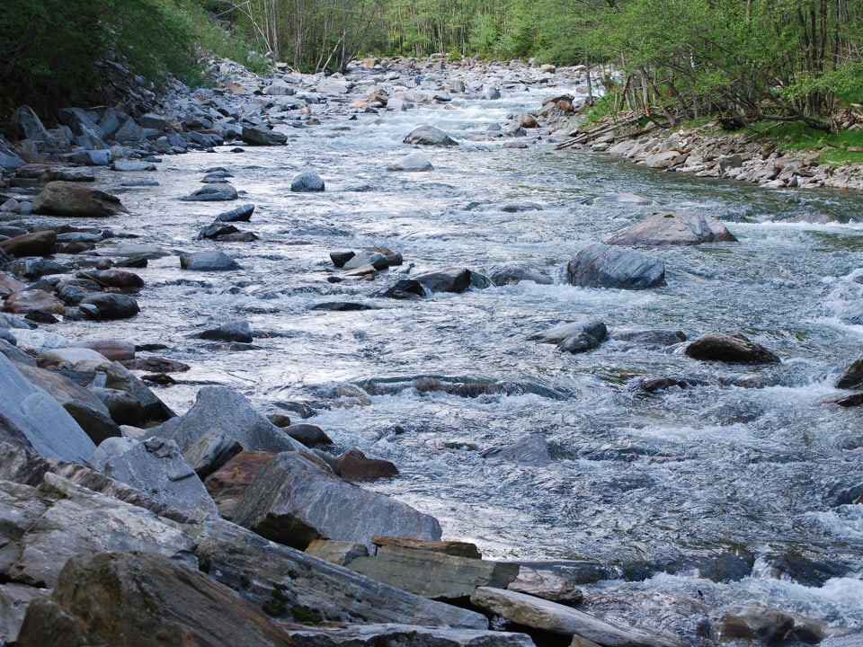Das Bild zeigt ein Flussbett mit Steinen. Hinter jedem Stein entsteht eine kleinere oder grössere Welle.