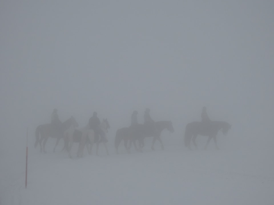 Pferde und Reiter im Nebel.
