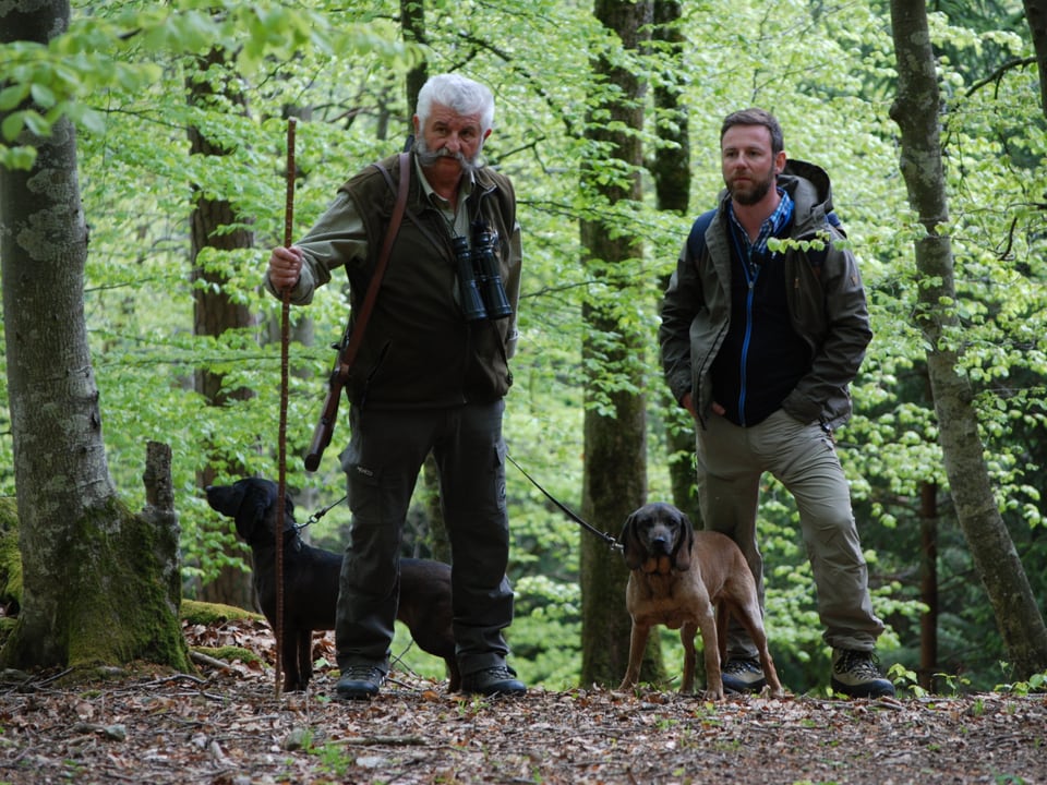 zwei Männer und zwei Jagdhunde stehen im frühlingshaften Wald