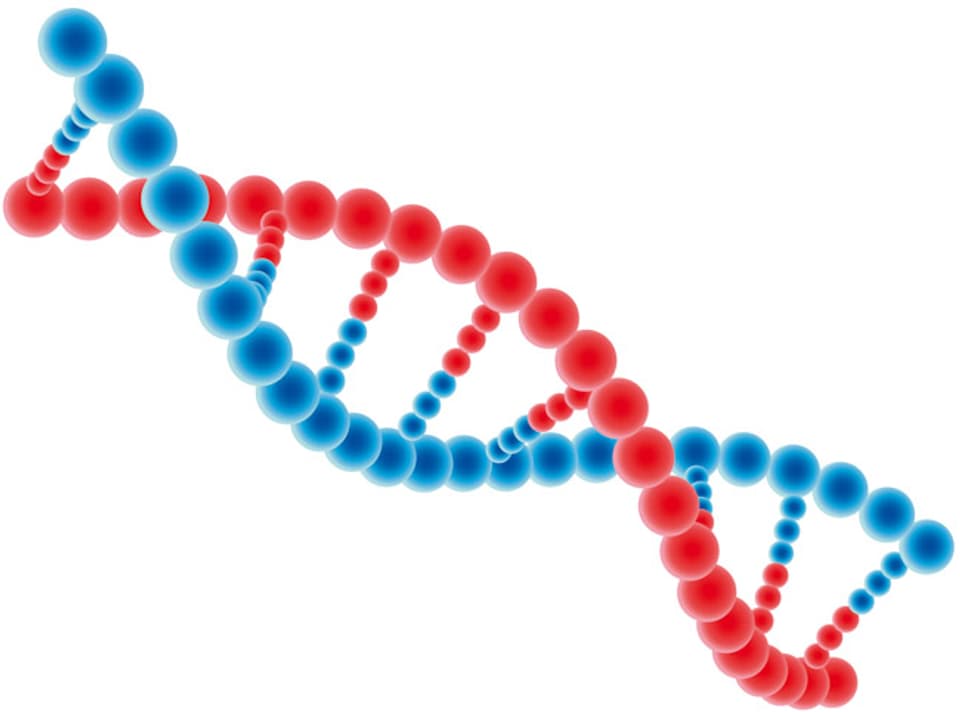 Schematische Darstellung einer DNA-Helix