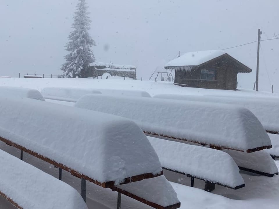 2. April: Napf / BE Heute auf dem Napf 1408müm
ca 50cm Pulverschnee !
