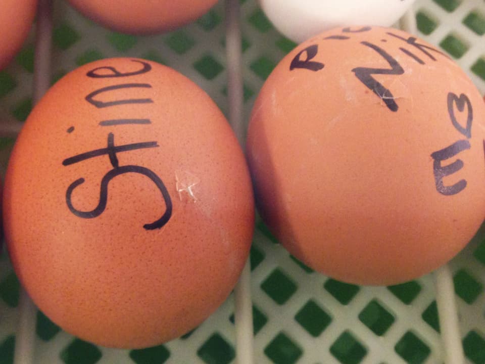 Die Eier von Nik und Christina haben bereits Risse. Lange kann's also nicht mehr gehen... 