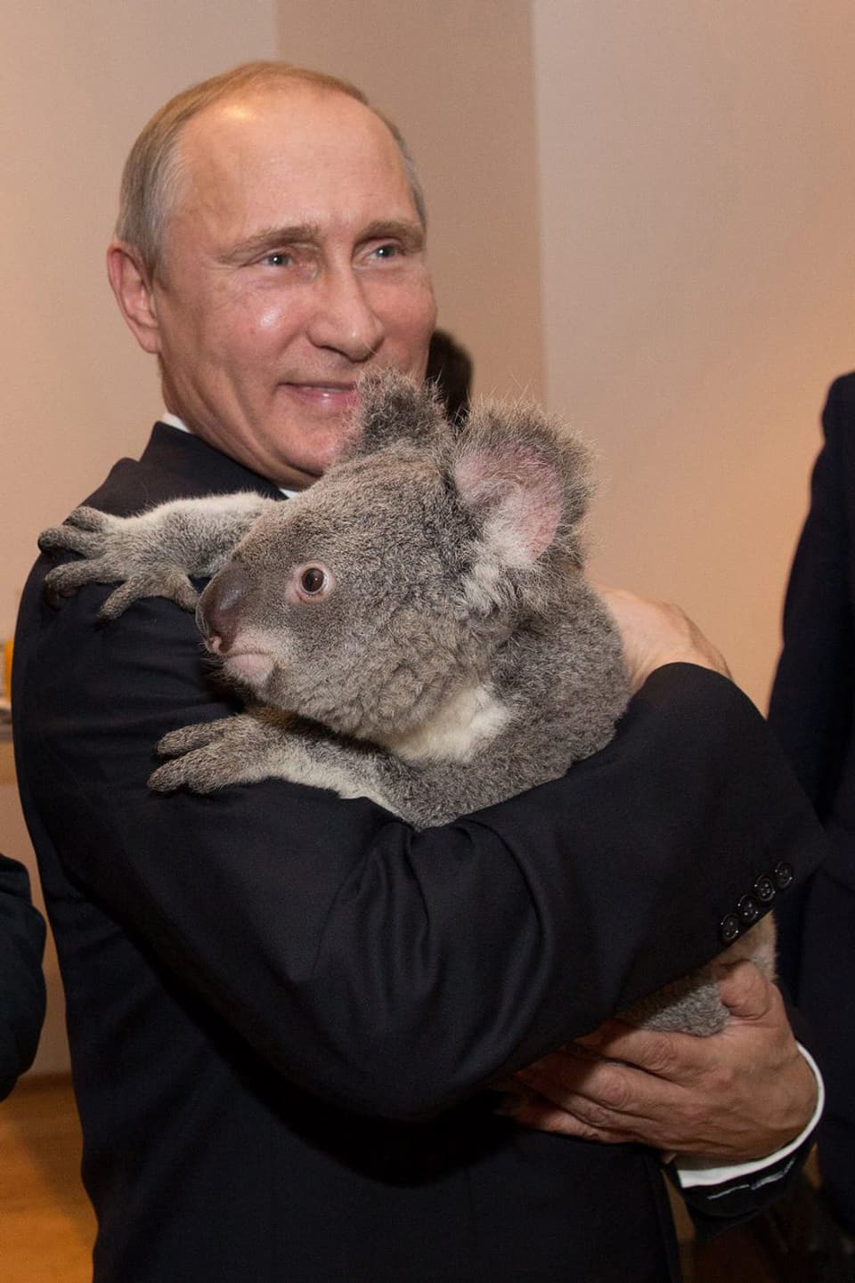 Wladimir Putin mit Koala