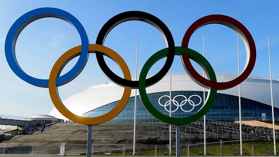 Die olympischen Ringe vor der Eishalle in Sotschi.