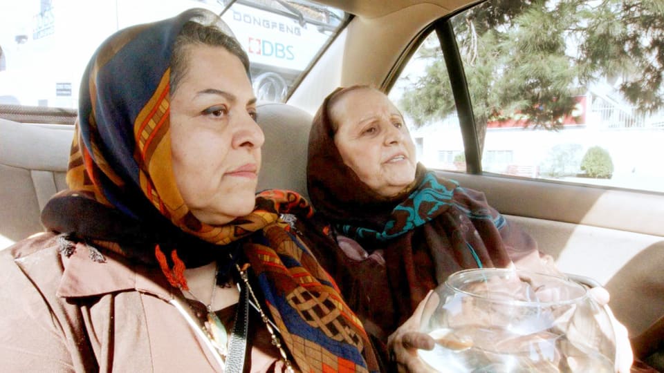 Zwei Frauen mit Kopftuch in einem Taxi, eine hält ein Aquarium.