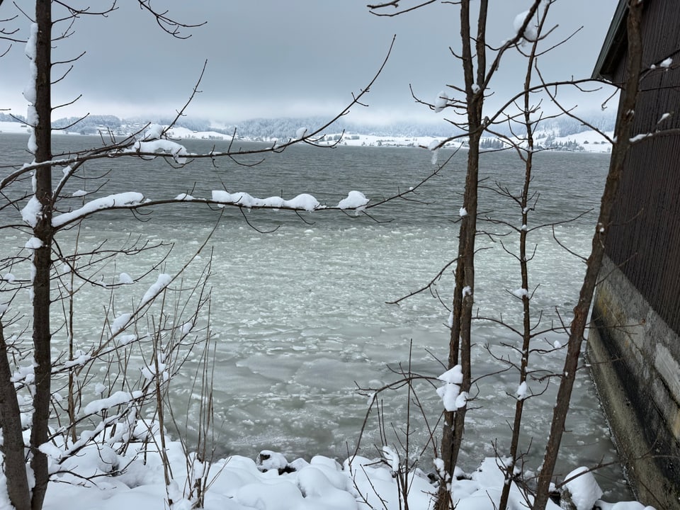 Der Sihlsee gefriert langsam (Gebrochenes Eis)