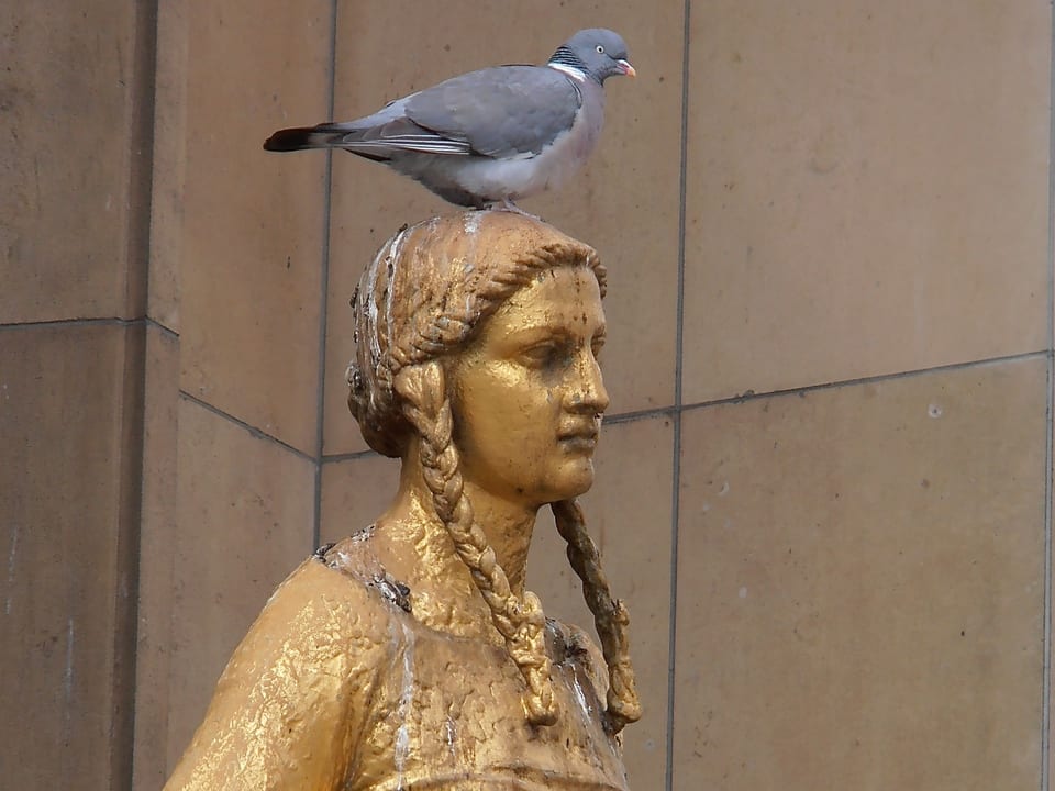 Taube auf dem Kopf einer Statue in Paris.