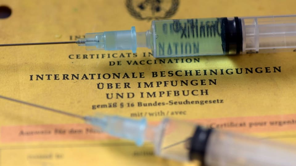 Ein Impfbüchlein mit zwei Spritzen.
