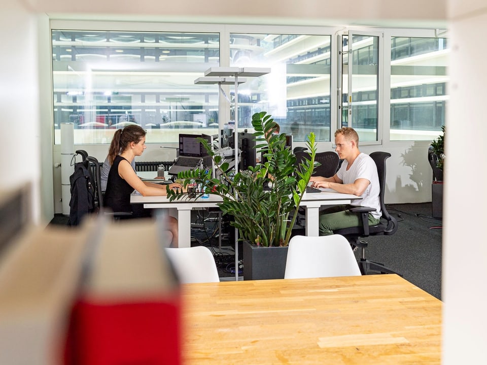 Eine Frau und eine Mann sitzen an ihren Arbeitsplätzen im Büro