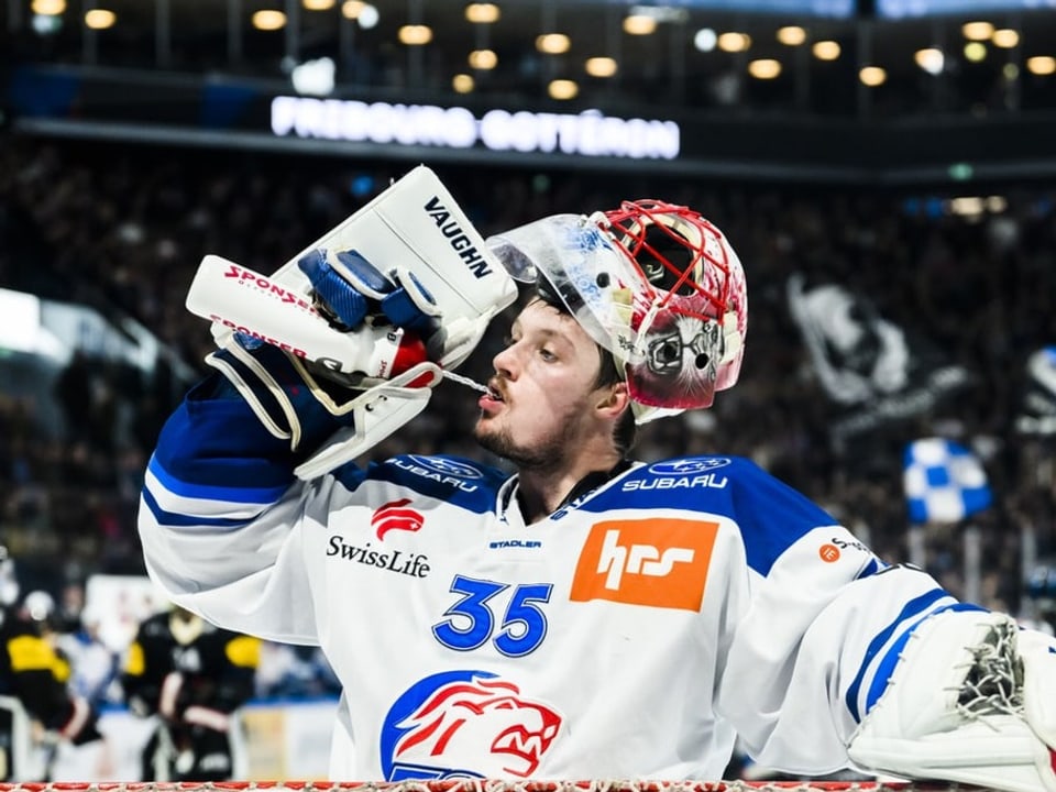 Vertrat den kranken Jakub Kovar formidabel Ludovic Waeber.