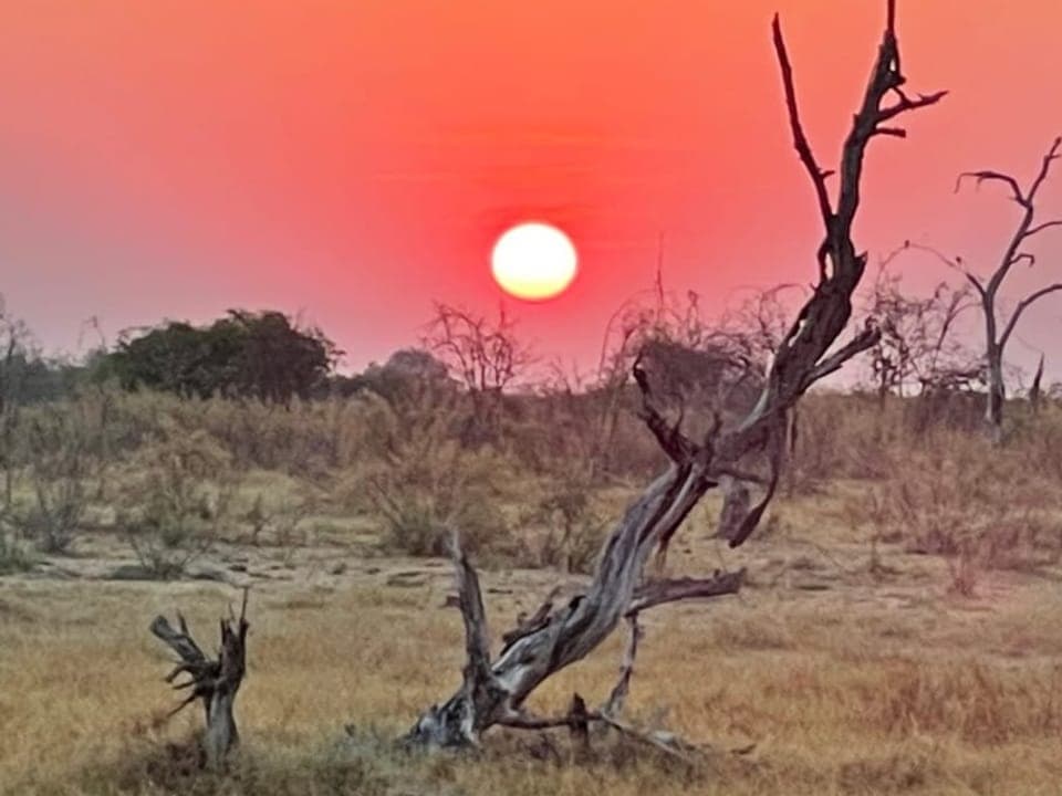 Sonnenaufgang im Botswana-Delta