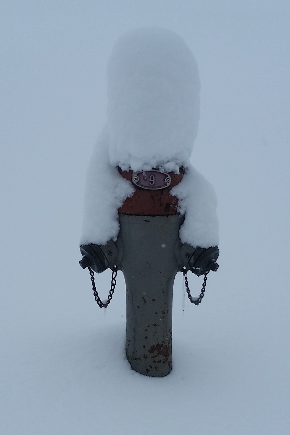 Hydrant mit Schneekappe.