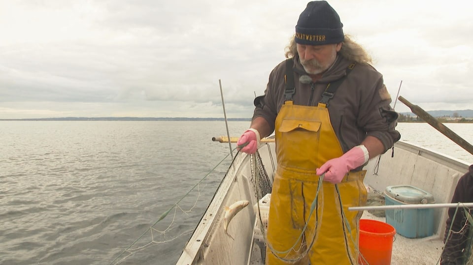 Fischer zieht Fisch im Netz aus dem See