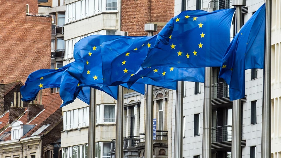 Europaflaggen wehen vor Gebäuden im Wind.