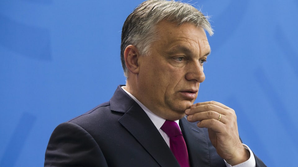 Orban vor blauem Hintergrund.