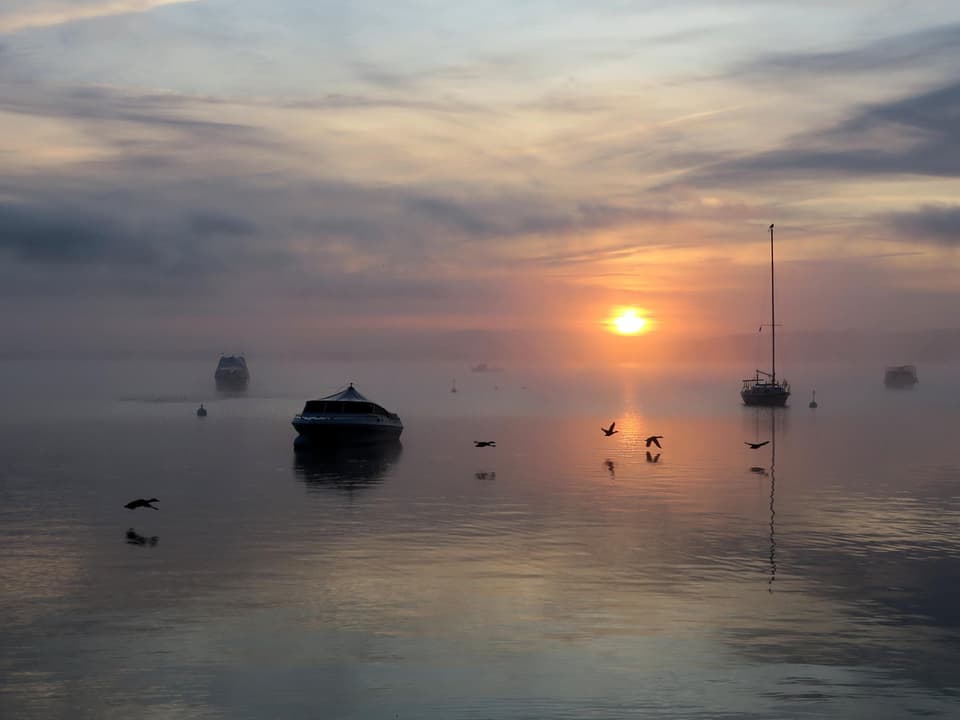 Murtensee, Boote am Anker, Nebelschwaden, Sonnenaufgang