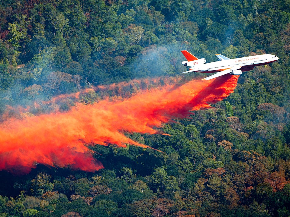 Ein Löschflugzeug von der Grösse eines Passagierjets lässt eine rote Wolke von Löschwasser über ein noch nicht brennendes Waldstück fallen.