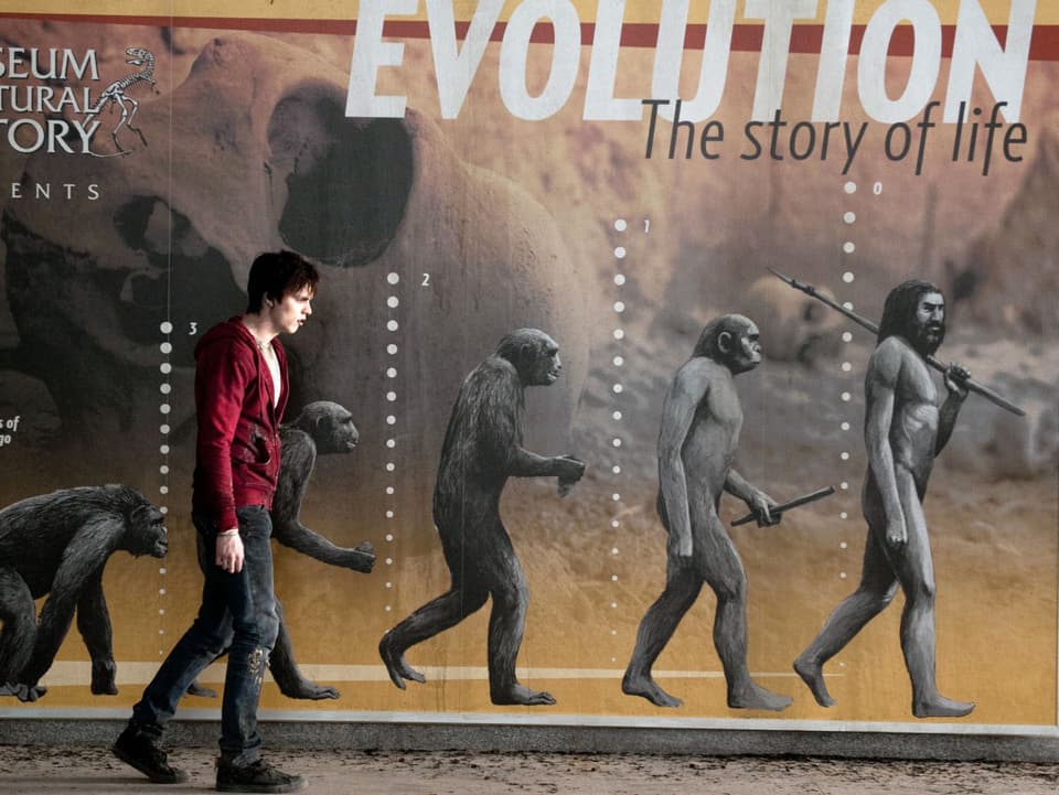 Der Zombie 'R' (Nicholas Hoult) läft an einem Plakat vorbei, auf dem die Evolution vom Affen zum Menschen abgebildet ist.