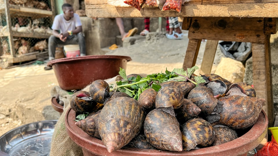 Schnecken auf einem Markt in der Elfenbeinküste.