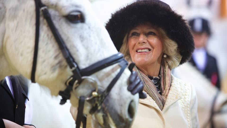 Camilla schaut zu einem Pferd hoch und lacht vor Freude und Liebe für das Tier